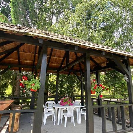 Pensiunea Cassandra Vatra Dornei Dış mekan fotoğraf