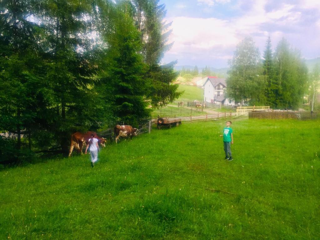 Pensiunea Cassandra Vatra Dornei Dış mekan fotoğraf
